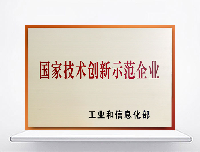 國(guó)家技術(shù)創(chuàng)新示范企業(yè)